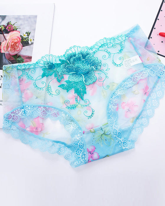 Antibakterielle Slip Mit Spitzenstickerei
