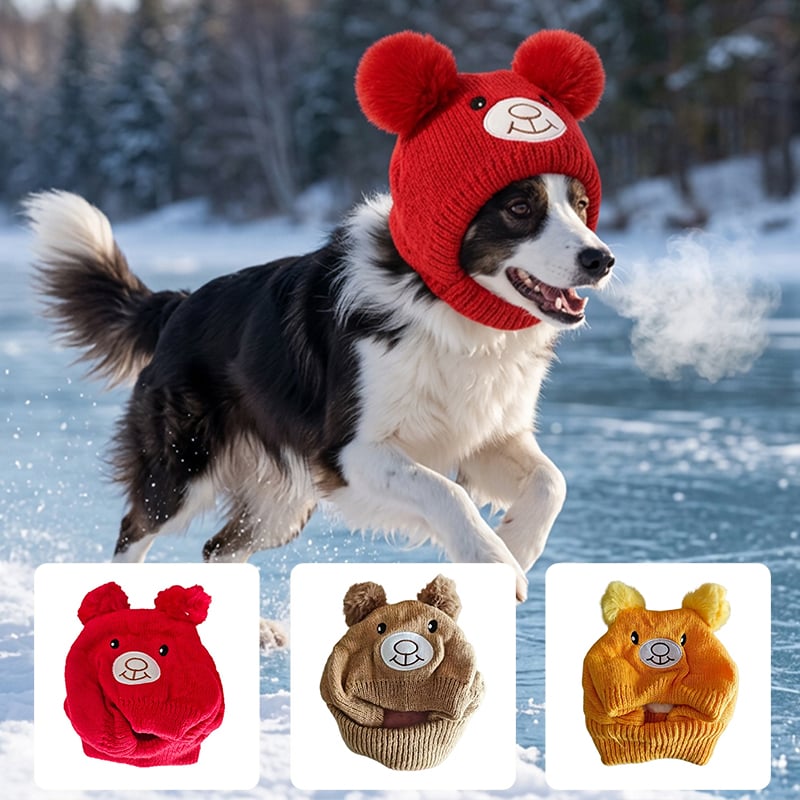 Schal Und Mütze Set Großer Hund Gestrickt Ohren