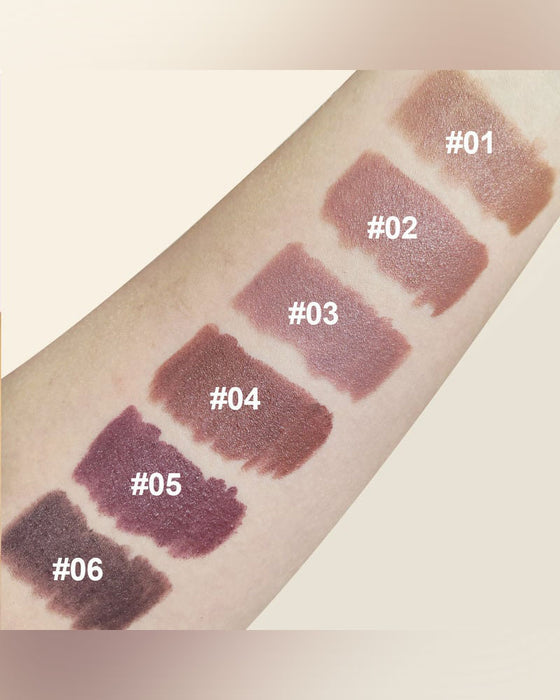 Samt Matt Seiden Textur Hohes Pigment Lippenstift