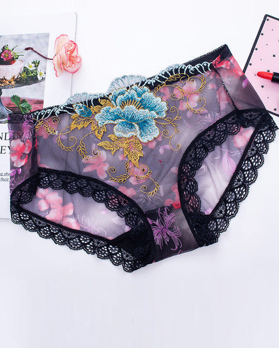 Antibakterielle Slip Mit Spitzenstickerei