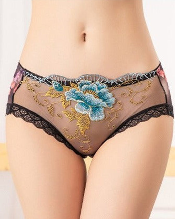 Antibakterielle Slip Mit Spitzenstickerei
