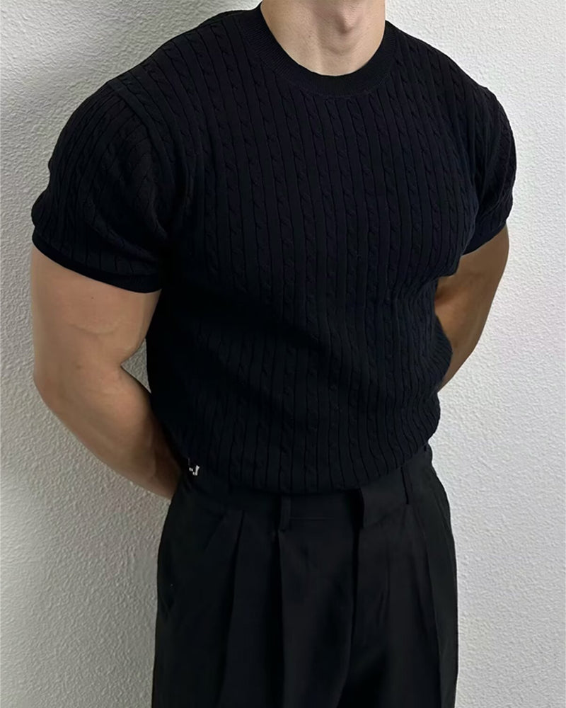 Top Herren Einfarbig Zopfstrick Rundhals, Slim Lässig Frühling Sommer Strickware