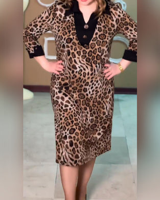 Kleid Mit Farbblock-Detail, Leopardenmuster, V-Ausschnitt Und Kühner Stimmung