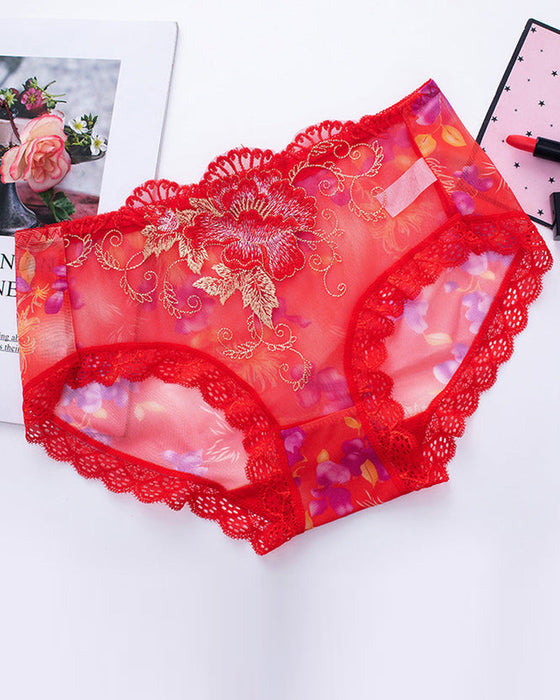 Antibakterielle Slip Mit Spitzenstickerei