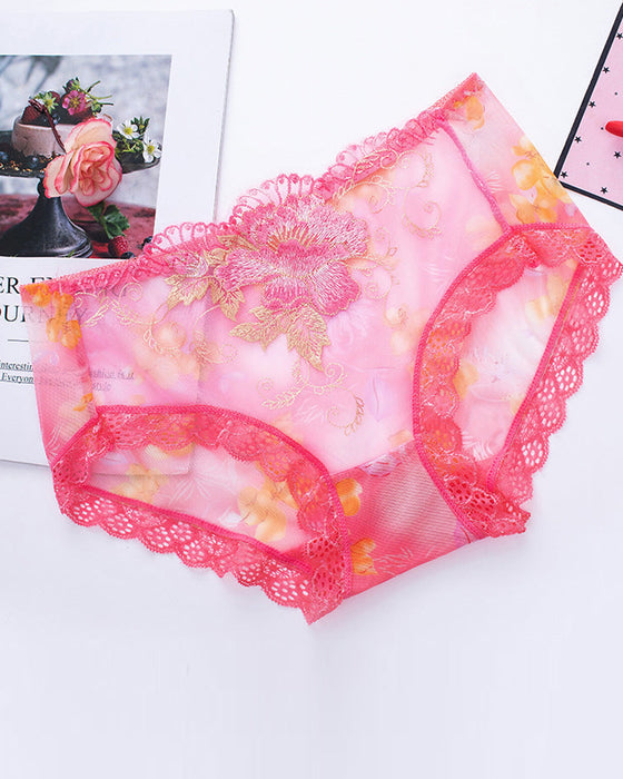 Antibakterielle Slip Mit Spitzenstickerei