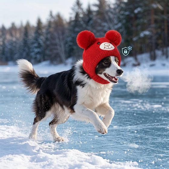 Schal Und Mütze Set Großer Hund Gestrickt Ohren