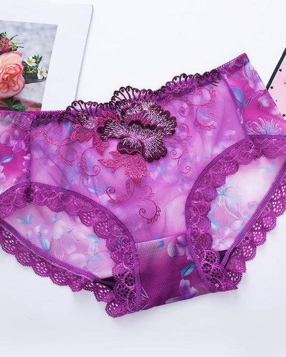 Antibakterielle Slip Mit Spitzenstickerei