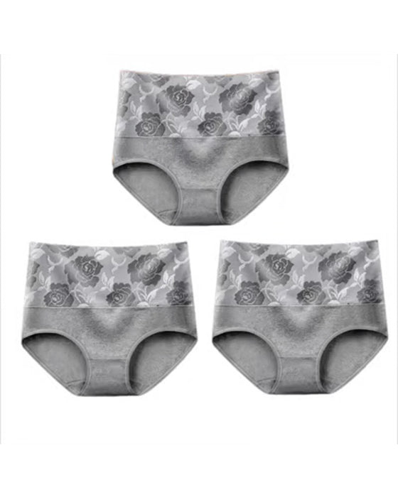 🔥 Damen-Slip Mit Hoher Taille Und Bauchkontrolle Aus Reiner Baumwolle In Übergröße